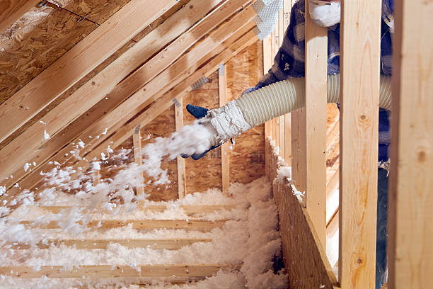 Best Soundproof Insulation  in Laureles, TX